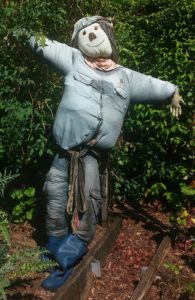 How to Make a Scarecrow for your Open Pollinated / Heirloom Vegetable Garden - St. Clare Heirloom Seeds