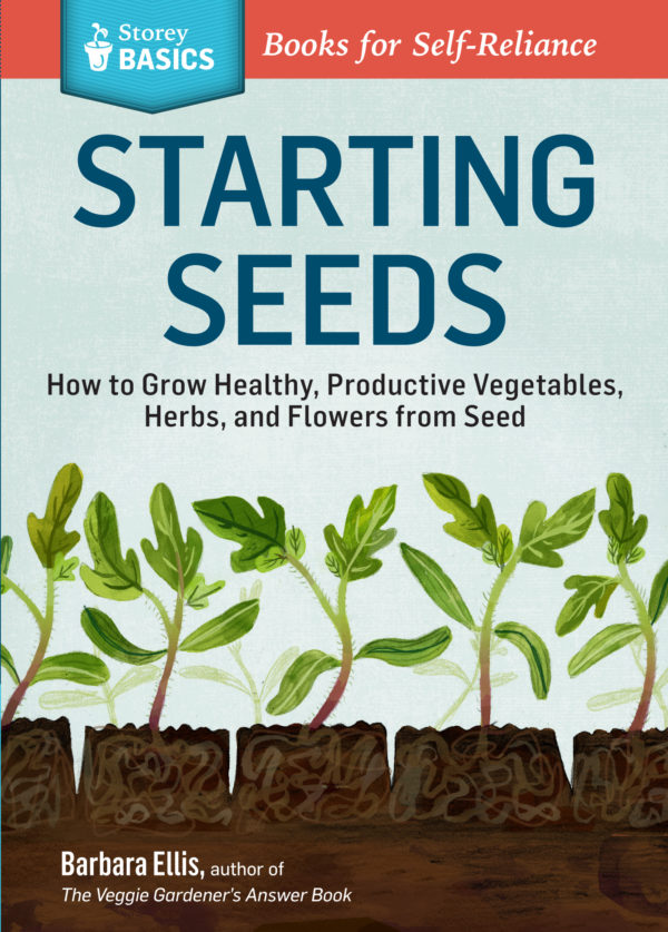Starting Seeds - St. Clare Heirloom Seeds