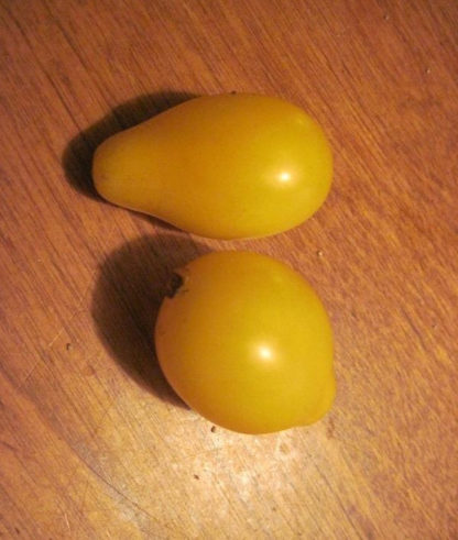 Tomato, Cherry - Yellow Pear - Photo credit Robert Duval - St. Clare Heirloom Seeds