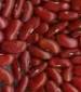 Dark Red Kidney Bean - St. Clare Heirloom Seeds