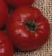 Coustralee Tomato - St. Clare Heirloom Seeds
