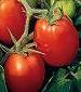 Roma Paste Tomato - St. Clare Heirloom Seeds