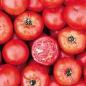 Wisconsin 55 Tomato - St. Clare Heirloom Seeds
