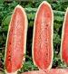 Watermelon - Jubilee - St. Clare Heirloom Seeds