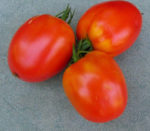 Tomato, Paste - Organic Amish Paste - St. Clare Heirloom Seeds
