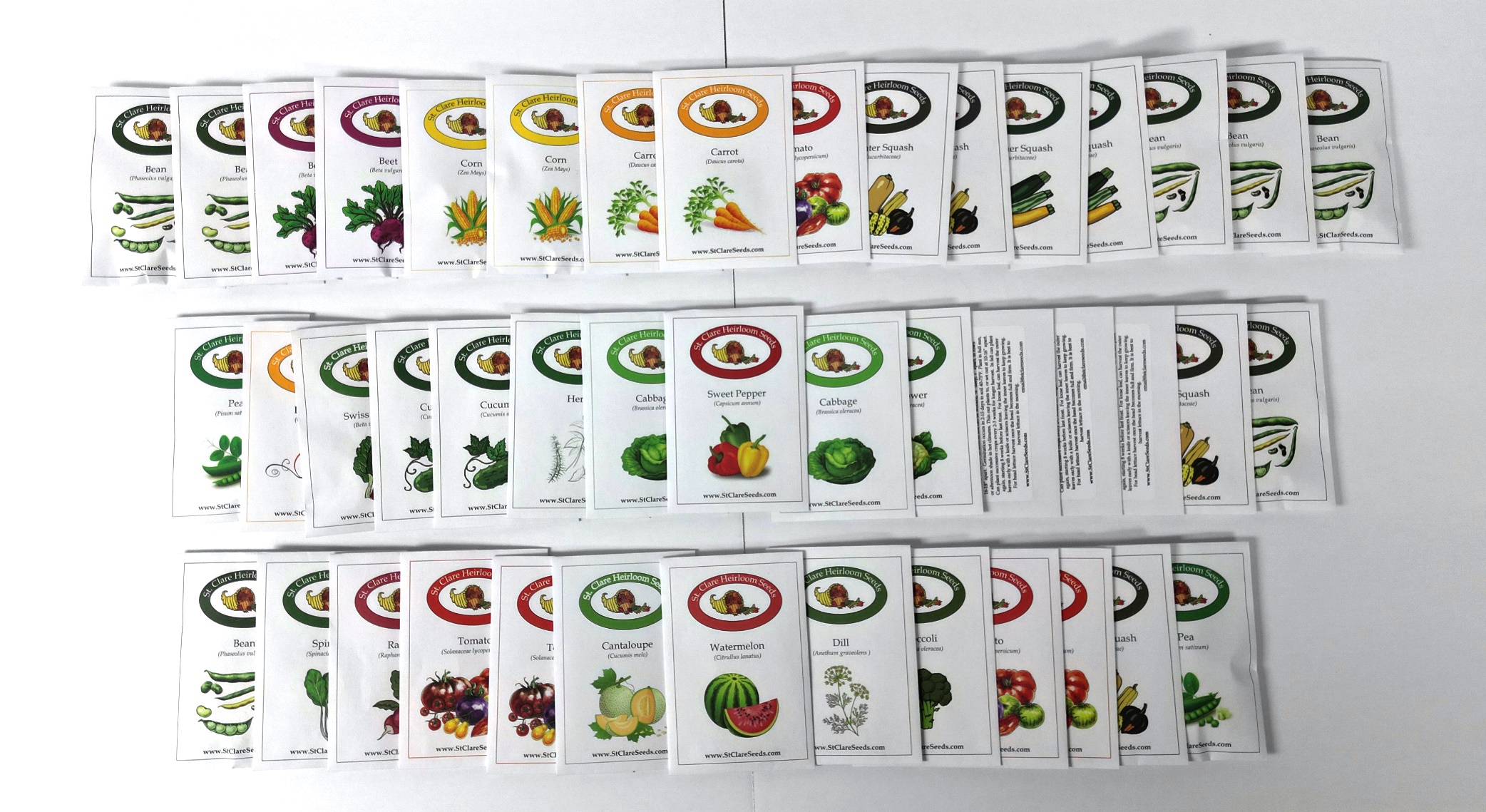 Large Family Vegetable Garden Seed Collection