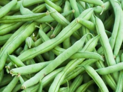 Bean, Bush Snap - Strike Bean - St. Clare Heirloom Seeds