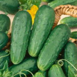 homemade pickles cucumber - St. Clare Heirloom Seeds