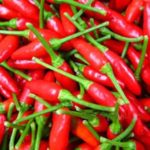 Pepper, Hot - Small Red Chili - St. Clare Heirloom Seeds