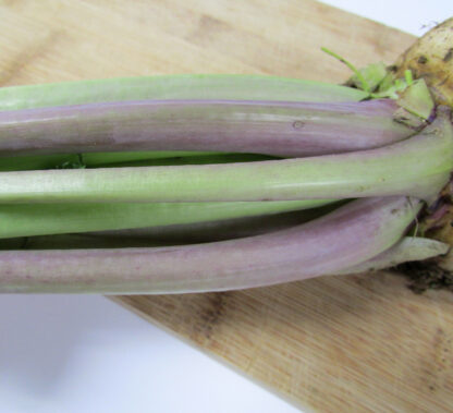 Close-up of Purple Top White Globe turnip stems resting on a cutting board, showing thick, smooth stalks with pale green and purple coloration near the crown.
