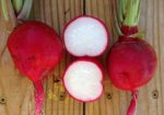 Radish - Crimson Giant - St. Clare Heirloom Seeds
