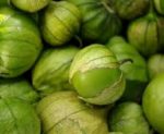 Tomatillo - Toma Verde - St. Clare Heirloom Seeds