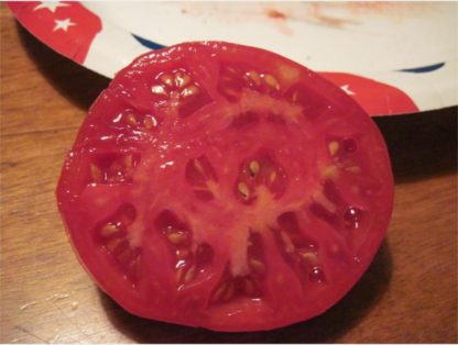 Mortgage Lifter Tomato - St. Clare Heirloom Seeds
