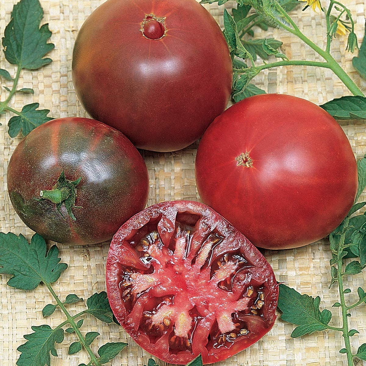 https://www.stclareseeds.com/garden-help/wp-content/uploads/2016/06/Tomato-Black-Krim-1.jpg