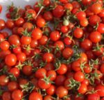 Tomato, Cherry - Tommy Toe - St. Clare Heirloom Seeds