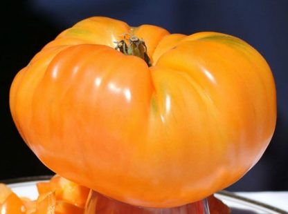 Tomato, Orange and Yellow - Beefsteak, Kentucky - St. Clare Heirloom Seeds