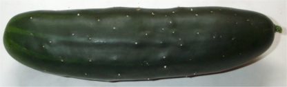 Cucumber - Marketmore 76 - St. Clare Heirloom Seeds