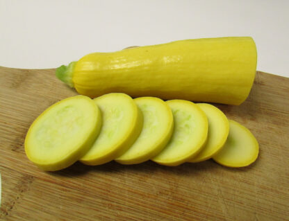 Summer Squash - Early Prolific Straightneck - Image 2