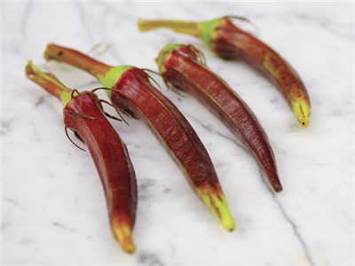 Okra - Red Burgundy - St. Clare Heirloom Seeds