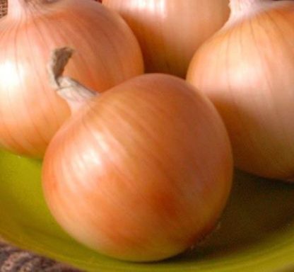 Onion - Texas Grano 1015Y - St. Clare Heirloom Seeds