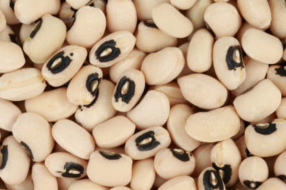 Pea, Cowpea – California Blackeye #5 - St. Clare Heirloom Seeds