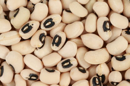 Cowpea - California Blackeye #5 - St. Clare Heirloom Seeds