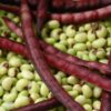Freshly shelled green Purple Hull Pinkeye cowpea seeds with pink eyes and deep purple pods – St. Clare Heirloom Seeds.