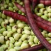 Freshly shelled green Purple Hull Pinkeye cowpea seeds with pink eyes and deep purple pods – St. Clare Heirloom Seeds.