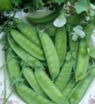 Pea, Snow - Dwarf Gray Sugar - St. Clare Heirloom Seeds