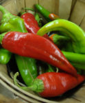 Pepper, Hot - Anaheim - St. Clare Heirloom Seeds