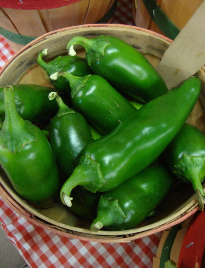 Hot Pepper Jalapeno Early St. Clare Heirloom Seeds Heirloom and
