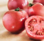 Tomato, Pink and Purple - Arkansas Traveler Tomato - St. Clare Heirloom Seeds