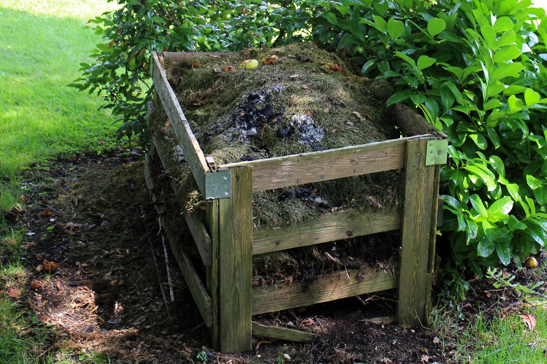 Composting Tips for Beginners - St. Clare Heirloom Seeds