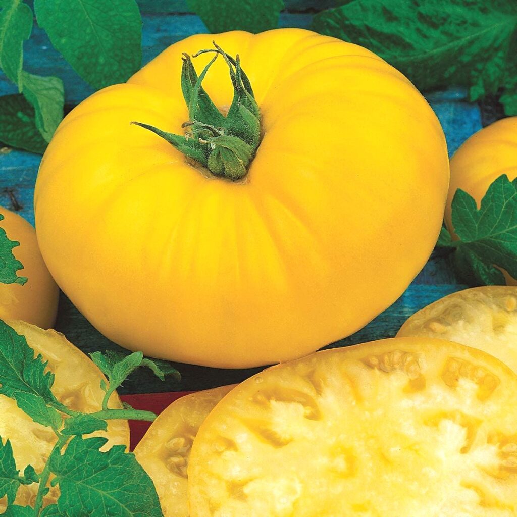 Close-up of Yellow Beefsteak heirloom tomato with slices, among the easiest heirloom seeds to save.