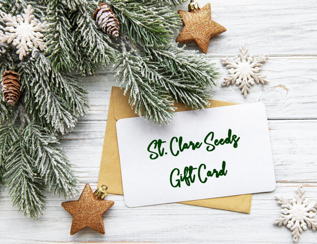 St. Clare Heirloom Seeds gift card surrounded by frosted evergreens and holiday gifts.