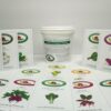 Alaska Arctic Region Vegetable Garden Seed Collection - Sealed