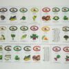 Western Mountain Region Vegetable Garden Seed Collection