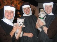 Poor Clares with their Puppies
